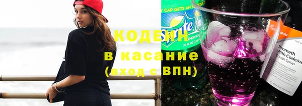 сатива Алзамай