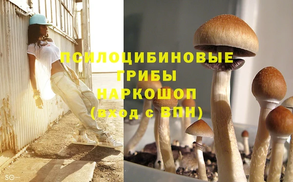 кокаин Алексеевка
