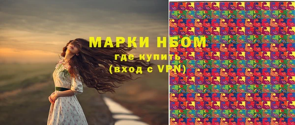 сатива Алзамай